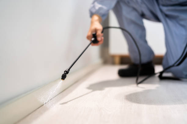 Licensed Fumigation Services service in Woodlands, CA - Nex Pest Control