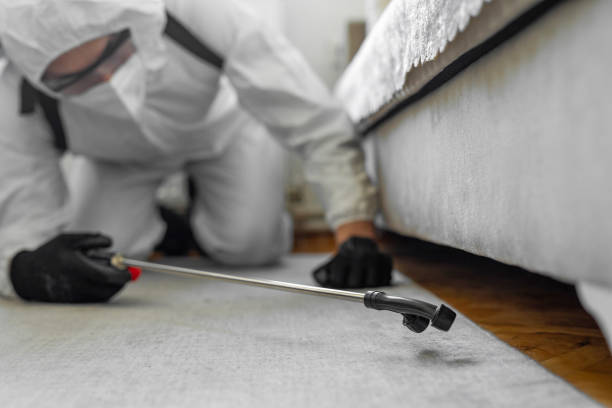 Professional Fumigation Services technician working in Woodlands, CA
